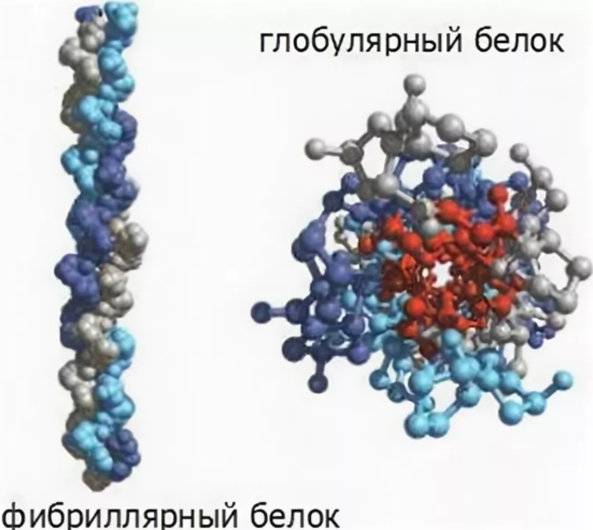 Протамины И Гистоны Роль – Telegraph