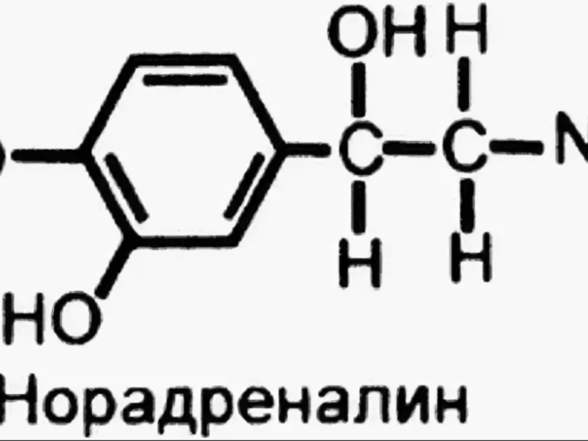 Адреналин кишечник. Химическая структура норадреналина. Норадреналин структурная формула. Норадреналин химическое строение. Норэпинефрин химическое строение.